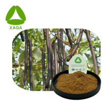 Kigelia Africana Extract Powder 10:1