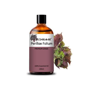 Bio -Großhandel Pure Perilla Blatt ätherische Ölmassage Aromatherapie Kerze Herstellung