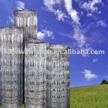 Hot Dipped Galvanized Grassland Fence Hebei Anping Factory