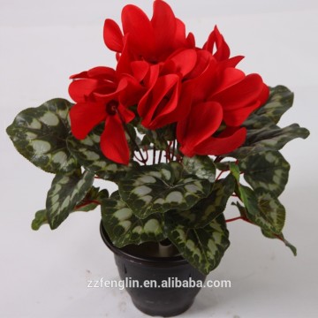 cheap artificial silk cyclamen flower Bush wholesale for home decor