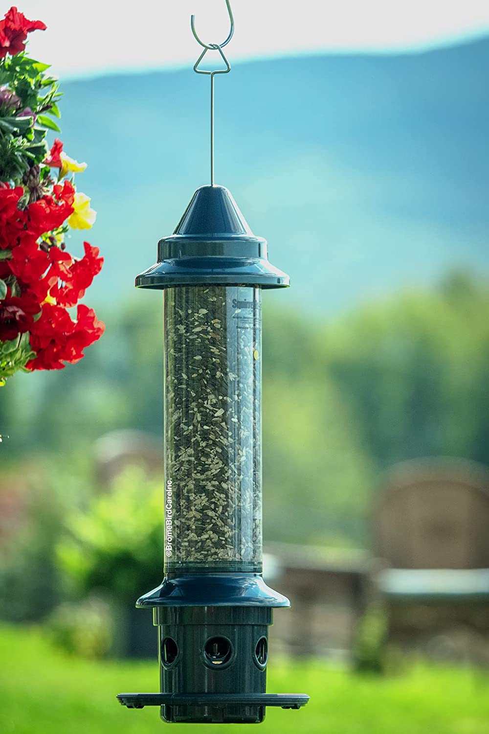 Écureuil buster plus mangeoire à oiseaux à l&#39;épreuve de l&#39;écureuil