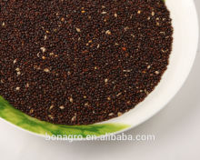 Black millet bird feed