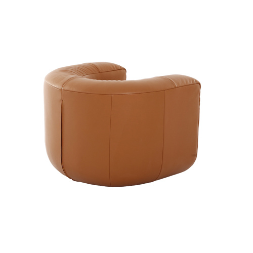 Modern Contemporary DS-707 Leather Armchair