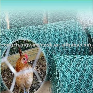 PVC Chicken Wire Mesh