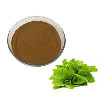 Lemon balm extract lemon balm extract