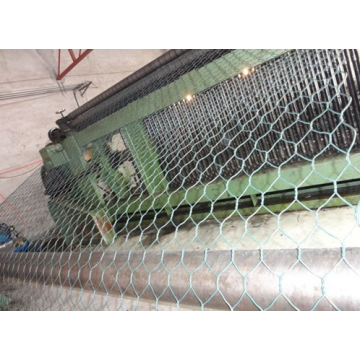 Welded Wire Mesh Gabion