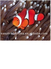 1000pc jigsaw paper puzzle