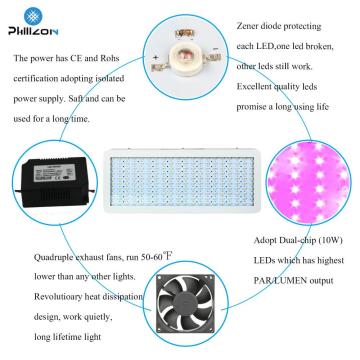 Thủy canh 300w led phát triển ánh sáng cho cây nhà kính