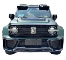 2024 Used China Brand Tank 300: Best Performance Off-Road 2.0T Armored Car