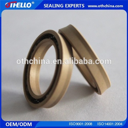 China Supplier Energized PTFE Spring Seals