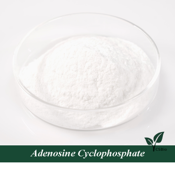 Adenosine Cyclophosphate Powder Wholesale