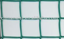 Plastic pond protection net