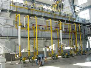 Extracción Extraction