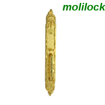 Fleet-escaped Hotel Door Lock