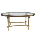 Ellipsoid Glass Top Stainless Steel Living Room Table