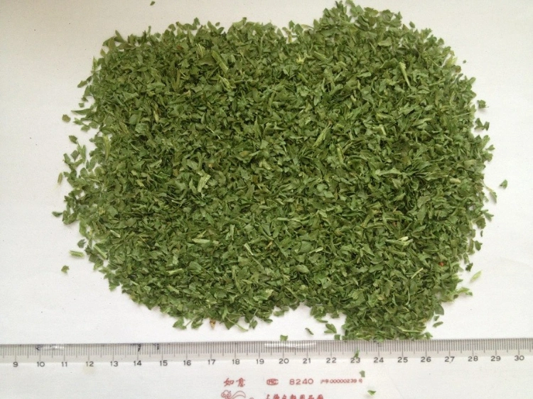 China Air Dried Ad Dehydrated Vegtables Parsley Flakes