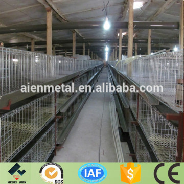 farming house layer Broiler cage/little chicken cage