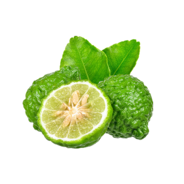 Minyak esensial bergamot terapeutik murni