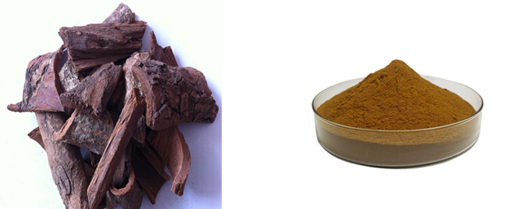 Factory Provide Pygeum Extract Powder Pygeum Africanum Bark Extract Powder