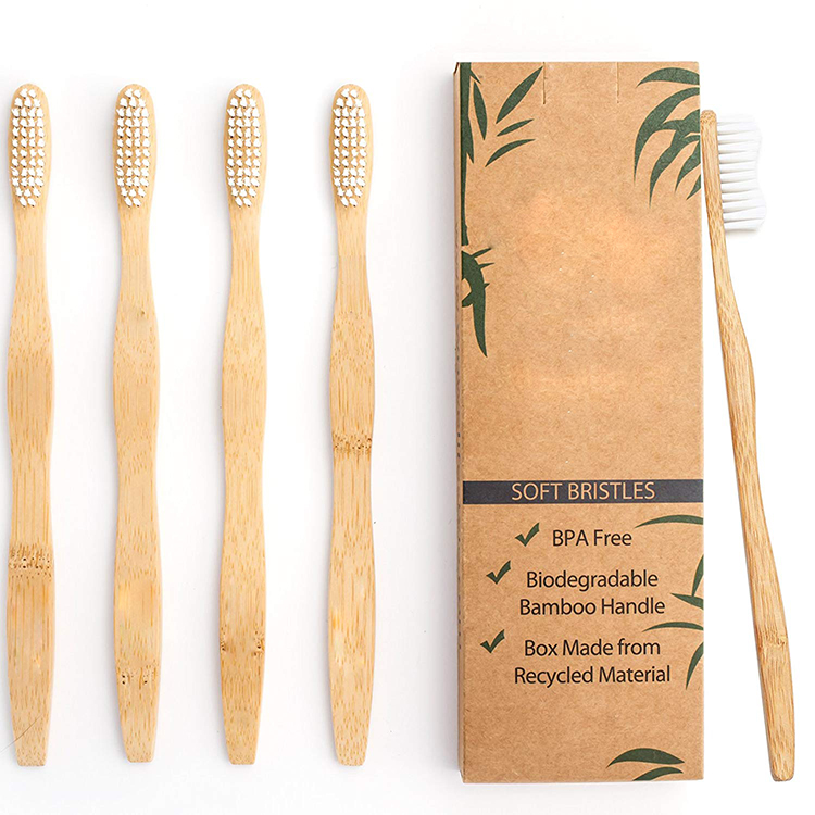 Disposable bamboo toothbrush