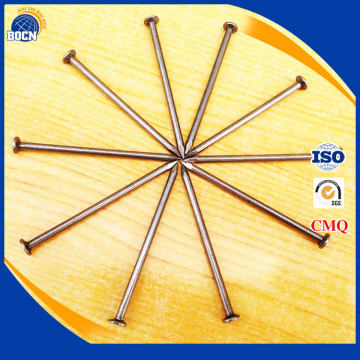 common coil nail common nail iron nail factory