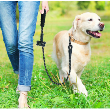 Coleira de cão forte 5 pés