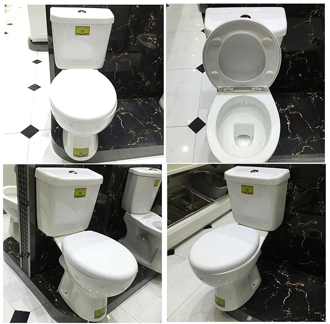 Hot Sale Design Two-Piece bathroom Toilet to European Market