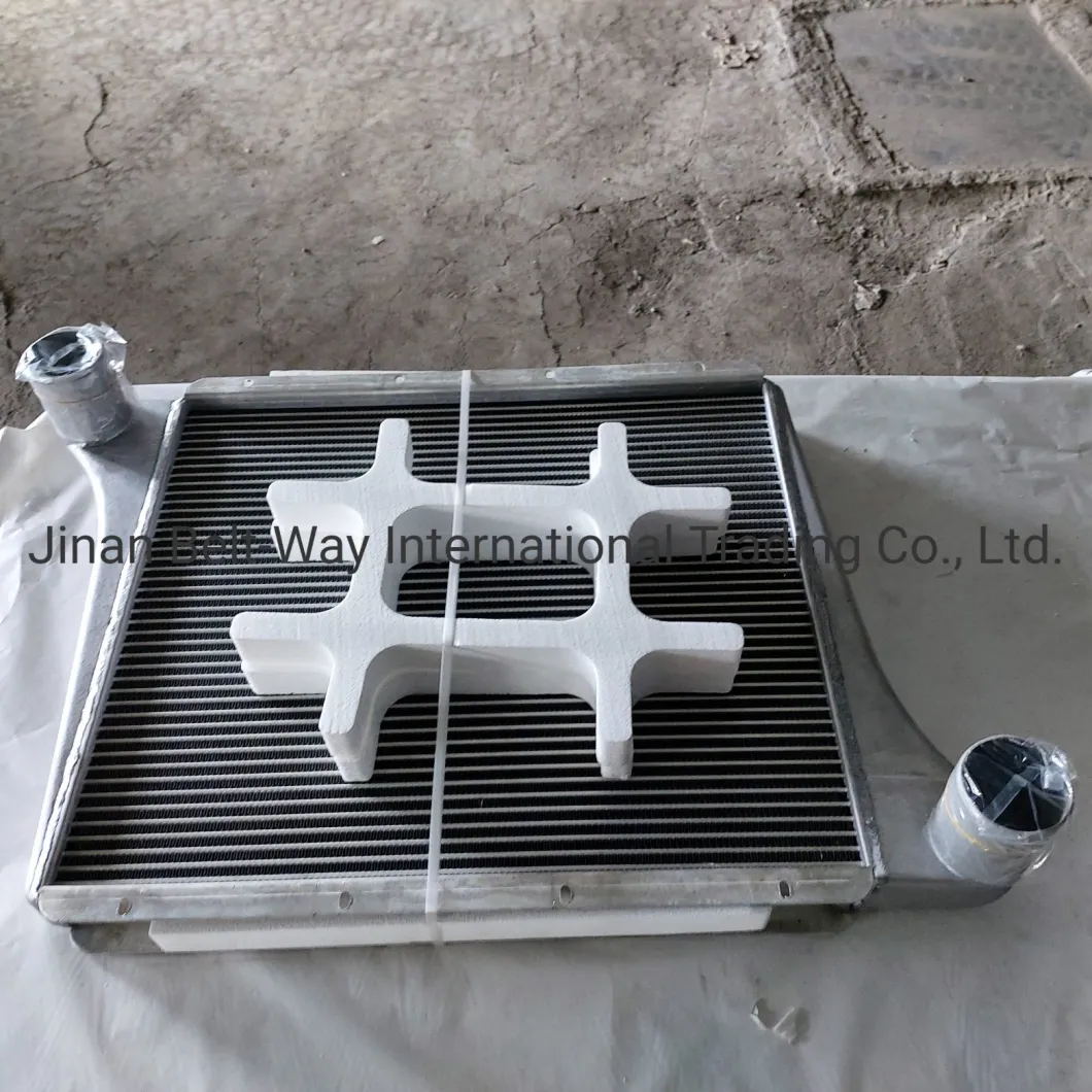 Sinotruk HOWO Truck Parts Truck Spare Parts Supercharged Intercooler Wg97255300250 Wg9725530020