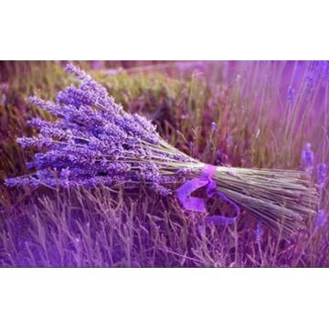 Grosir hidrosol lavender alami dengan harga terbaik