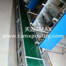 Manure Removal System for Poultry Cages