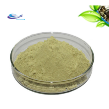 Pure Angelica Keiskei Ashitaba Leaf Extract Powder