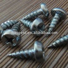 Phil Fillister Head Self Tapping Flange Screw