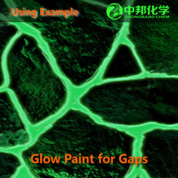 Glow pigment/glow in the dark paint