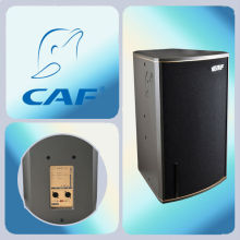 CEO-senior Professional Karaoke speaker