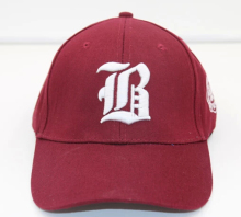 promotion first top quality sports golf cap China caps