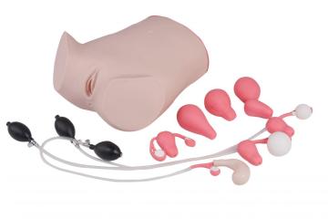 Gynecological Exam Practice Model