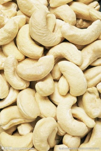 råa cashewnötter priser cashewnötter w240