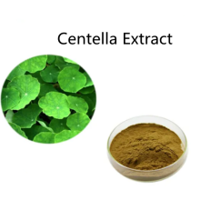 Buy online active ingredients Centella Extract powder