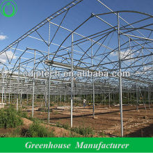cheap insect proof net greenhouse