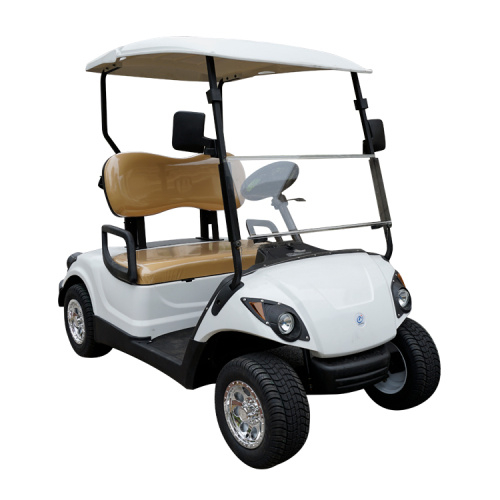 2021 2 Seats Electric Golf Cart Modern Design