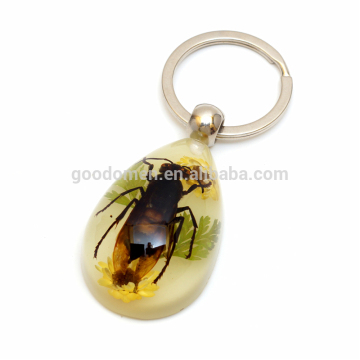 Acrylic real insect keyrings for teaching souvenir