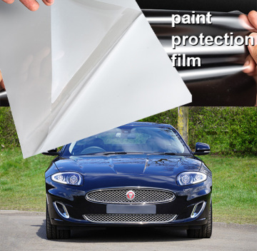 paint protection film Paint Correction