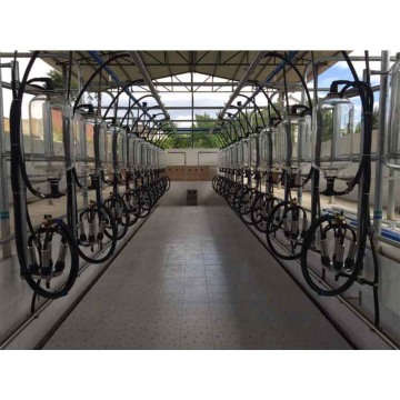 Glass Jar Herringbone Milking Equipment for Cows