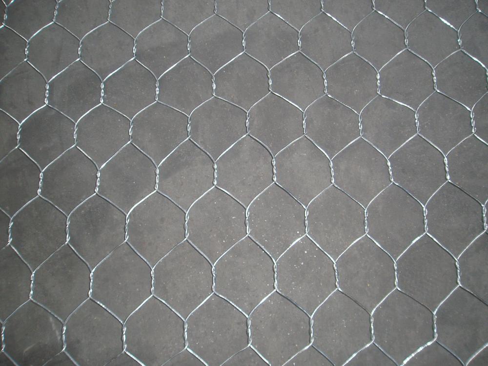 Electro Galvanized Hexagonal Wire Mesh