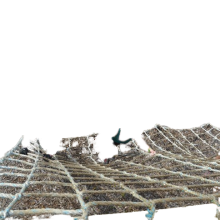 Durable Nylon or PP Climbing Safety Nets Customizable Cutting Services