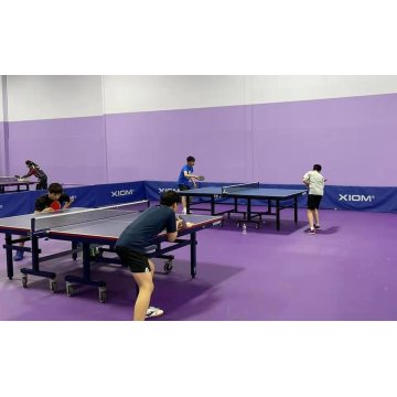 Tikar Gelanggang Pingpong Lantai PVC Mudah Alih