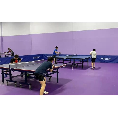 5.5mm super woven pattern table tennis flooring