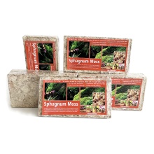 Wholesale Peat Substrate and Long Fiber Sphagnum Moss for Plants and Orchids