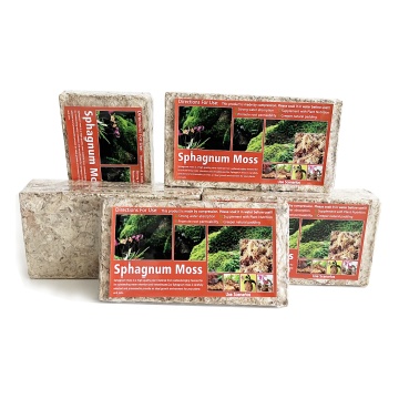 Wholesale Peat Substrate and Long Fiber Sphagnum Moss for Plants and Orchids