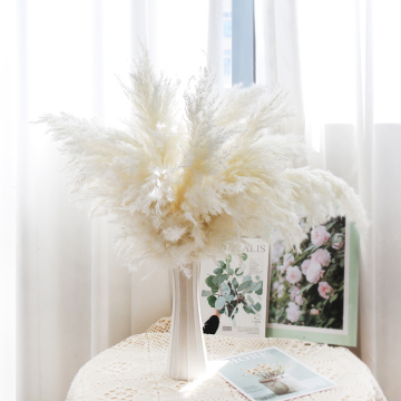 Pampas Grass Bunch - Fluffy Dried Flower Reed Bundle for Christmas Ornaments and Weddings
